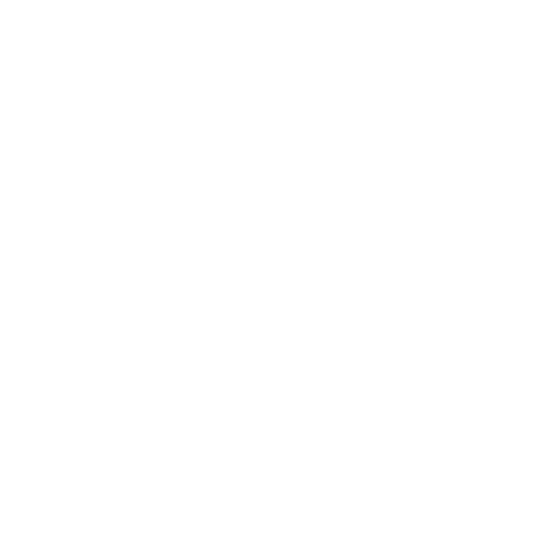 minority logo